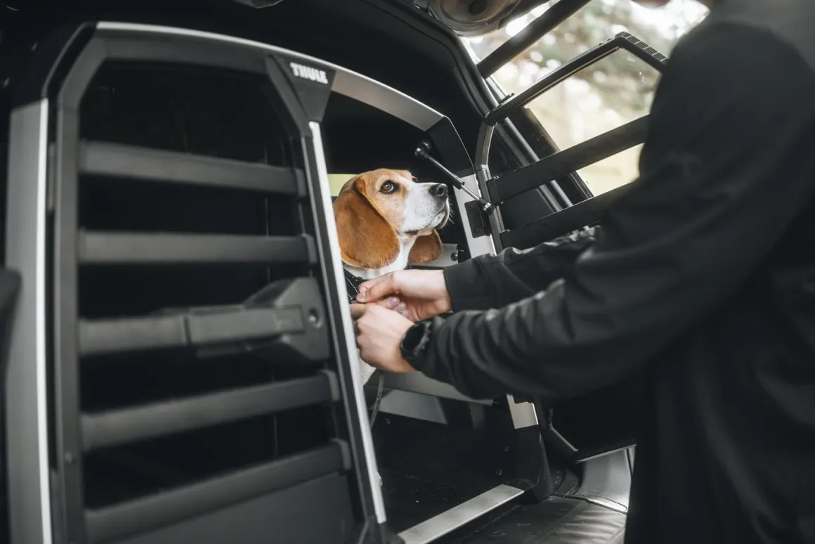 Thule Allax Double Dog Crate - M