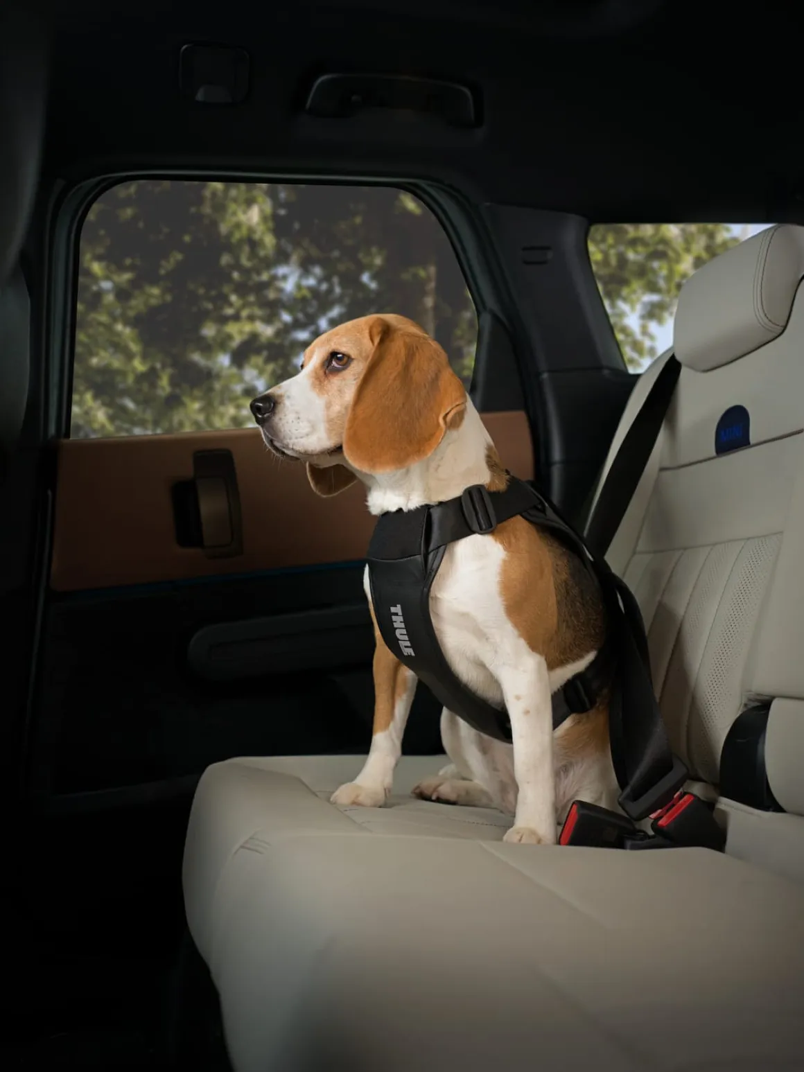 Thule Cappy Dog Harness Black - S