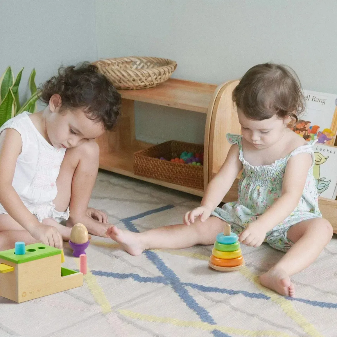 Tiny Land® Montessori Toys Set for Infants (10-12 month)