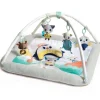 Tiny Love Polar Wonders Plush Gymini Activity Mat
