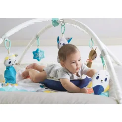 Tiny Love Polar Wonders Plush Gymini Activity Mat