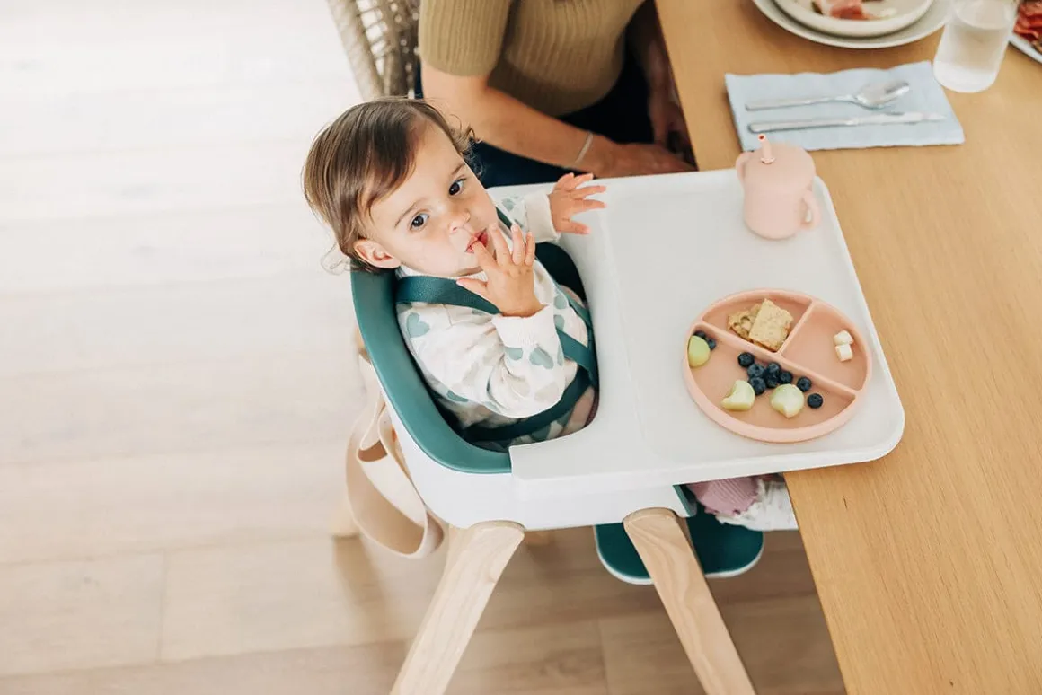 UPPAbaby Ciro High Chair - Emrick (Spruce Green)