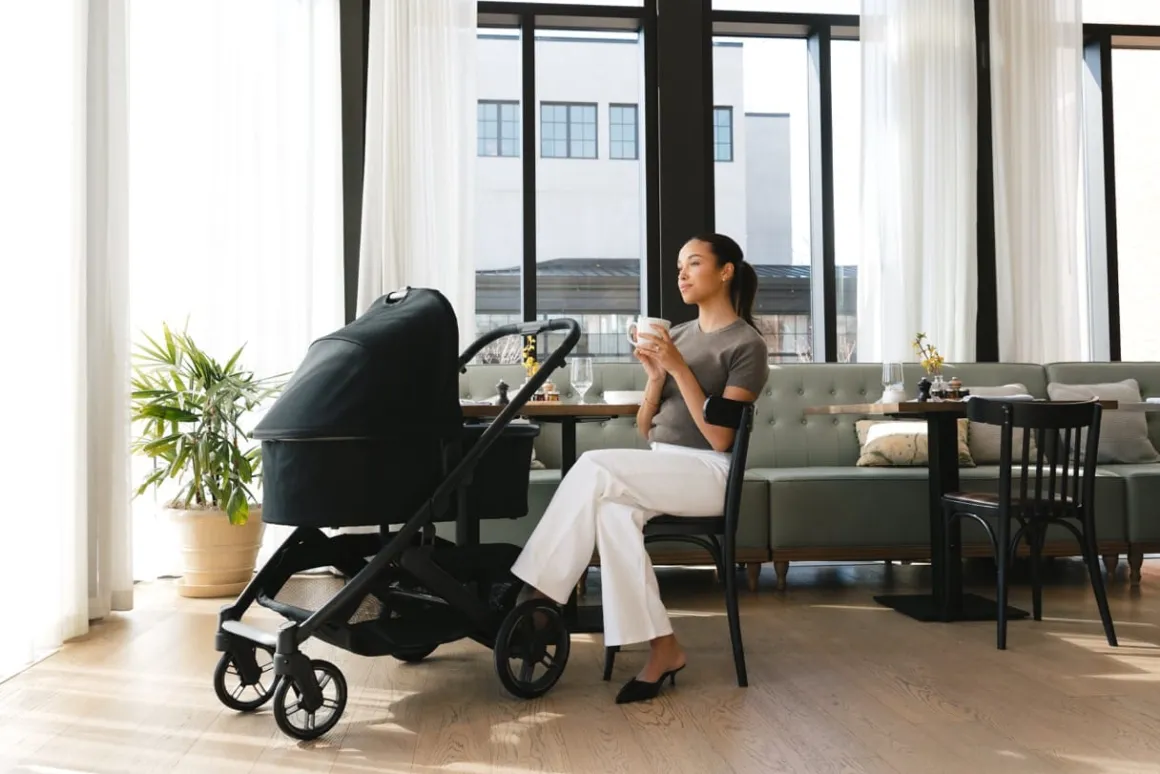 UPPAbaby Vista, Cruz, Ridge Bassinet V3 - James (Black / Carbon Frame)