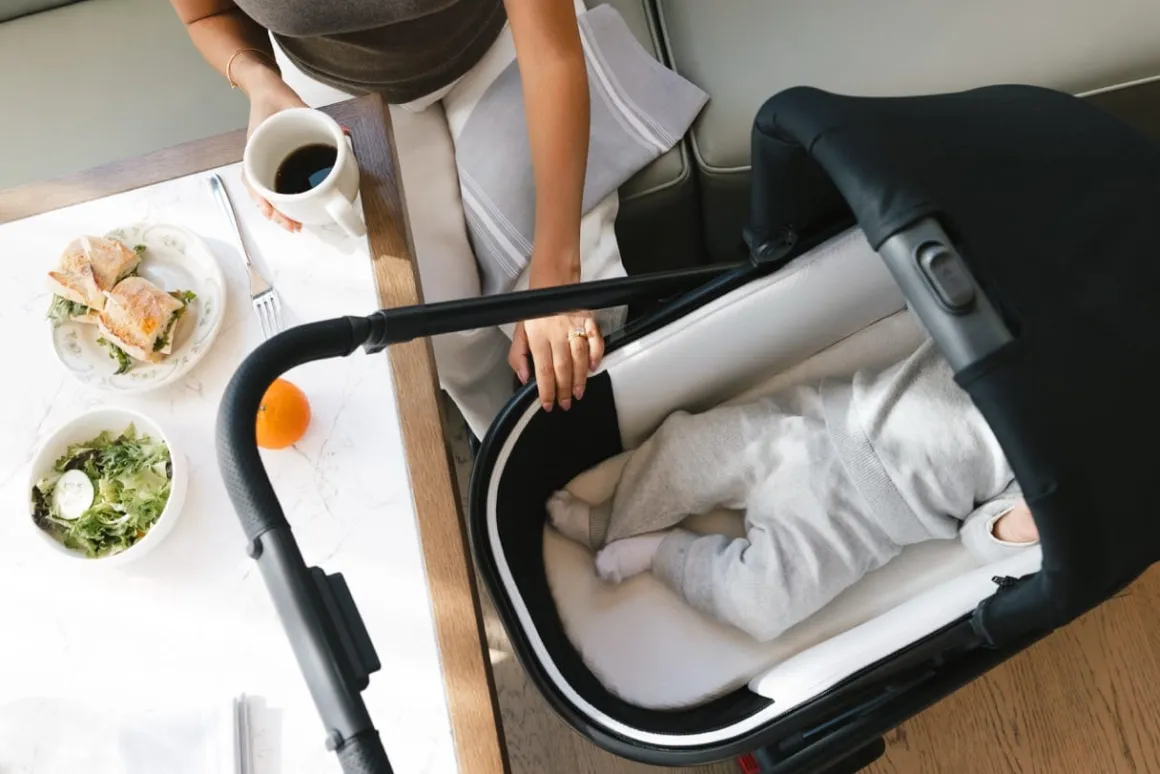 UPPAbaby Vista, Cruz, Ridge Bassinet V3 - James (Black / Carbon Frame)