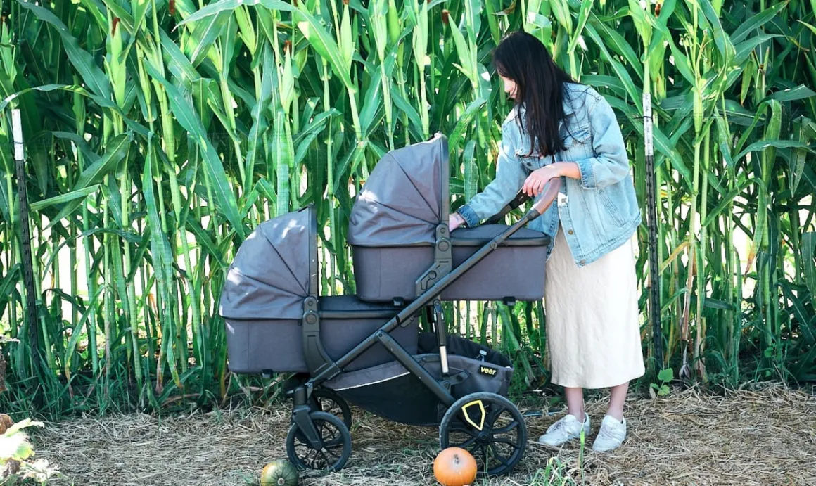 Veer Bassinet - Black Onyx