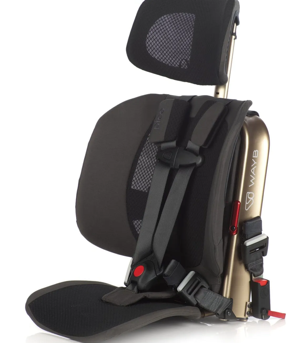 WAYB Pico Forward Facing Travel Car Seat - Earth