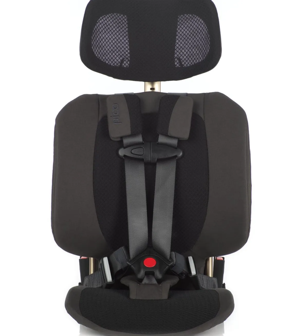 WAYB Pico Forward Facing Travel Car Seat - Earth