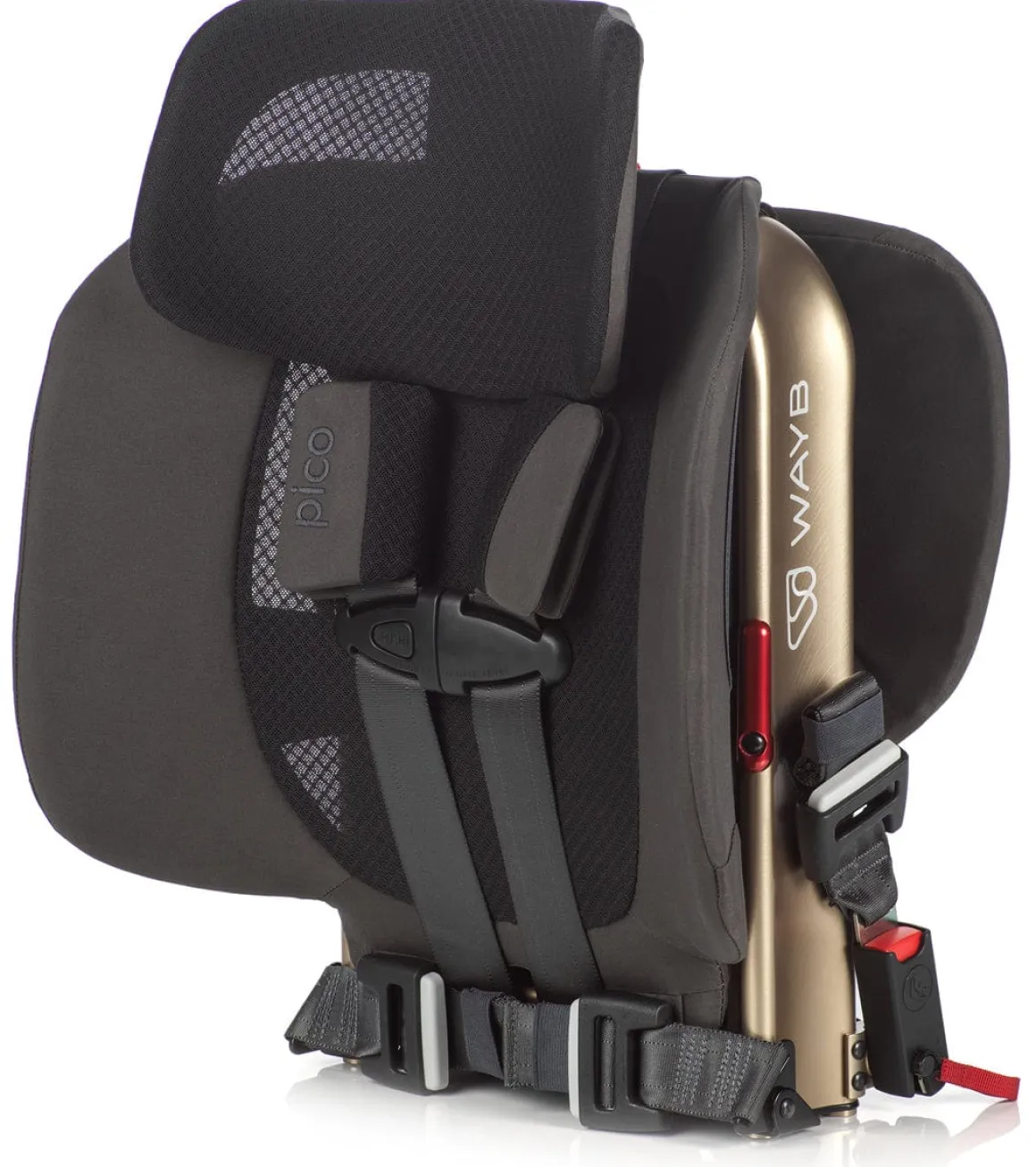 WAYB Pico Forward Facing Travel Car Seat - Earth