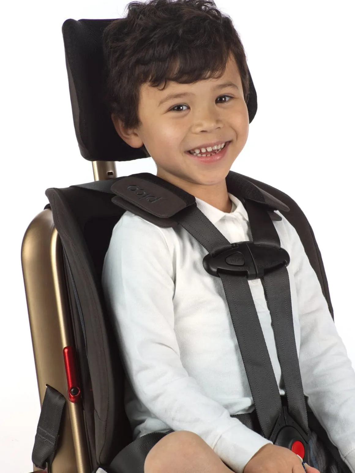 WAYB Pico Forward Facing Travel Car Seat - Earth