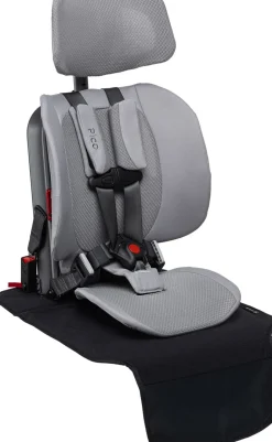 WAYB Pico Vehicle Seat Protector