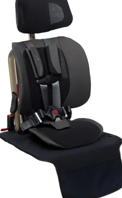WAYB Pico Vehicle Seat Protector