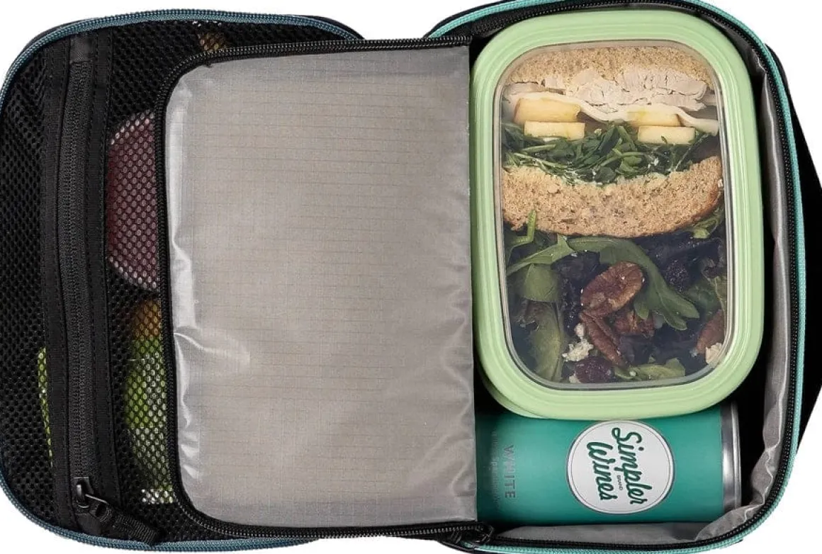 WAYB Ready to Roam Mini Cooler - Onyx