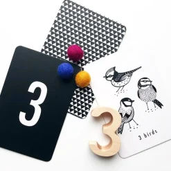 Wee Gallery Number Cards - Nature
